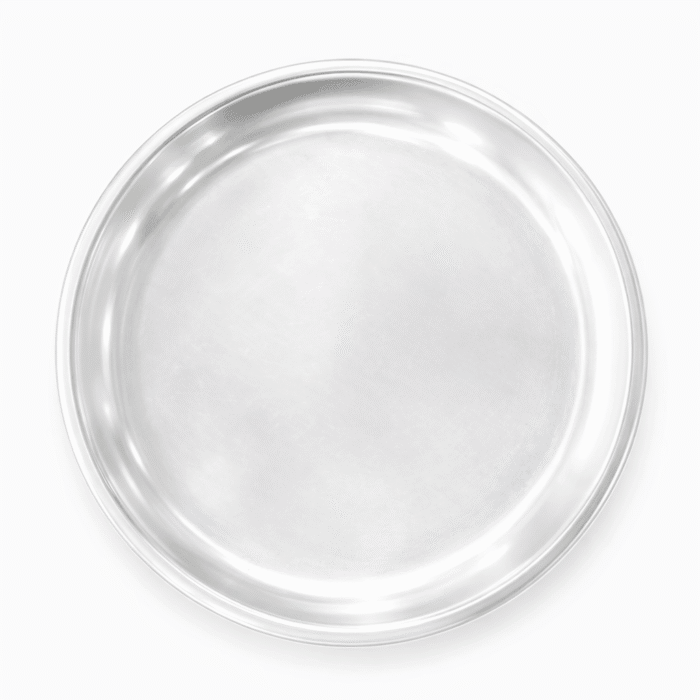 Copilot_20260602_132849 Plain Silver Thali - BKSBB04 - Image 1
