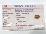 6.35 ct / 7.05 Ratti Pukhraj  | Yellow Sapphire with Certificate  Oval Cut - Image 5